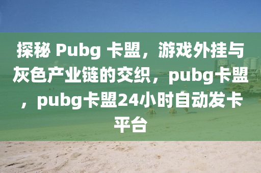 探秘 Pubg 卡盟，游戏外挂与灰色产业链的交织，pubg卡盟，pubg卡盟24小时自动发卡平台