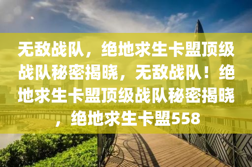 无敌战队，绝地求生卡盟顶级战队秘密揭晓，无敌战队！绝地求生卡盟顶级战队秘密揭晓，绝地求生卡盟558