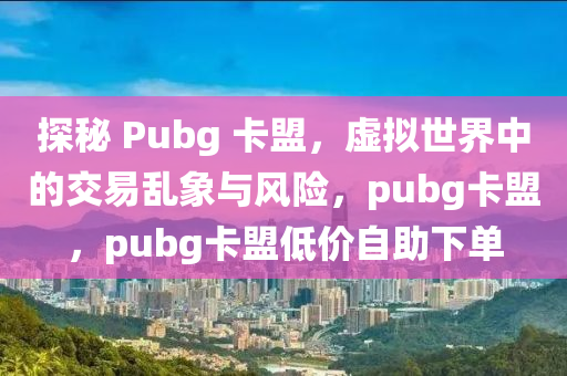 探秘 Pubg 卡盟，虚拟世界中的交易乱象与风险，pubg卡盟，pubg卡盟低价自助下单
