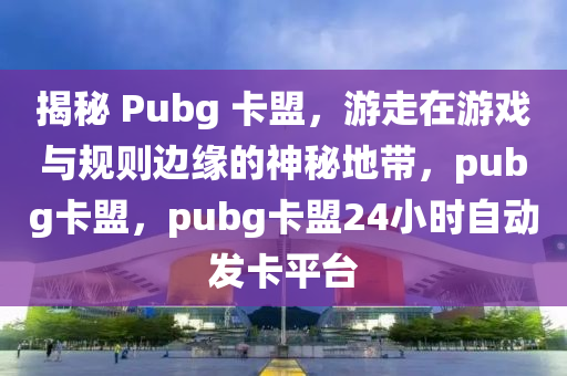 揭秘 Pubg 卡盟，游走在游戏与规则边缘的神秘地带，pubg卡盟，pubg卡盟24小时自动发卡平台