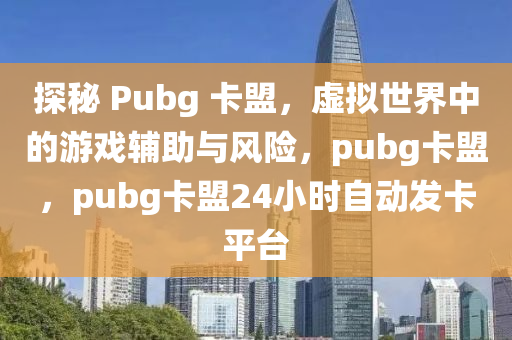 探秘 Pubg 卡盟，虚拟世界中的游戏辅助与风险，pubg卡盟，pubg卡盟24小时自动发卡平台