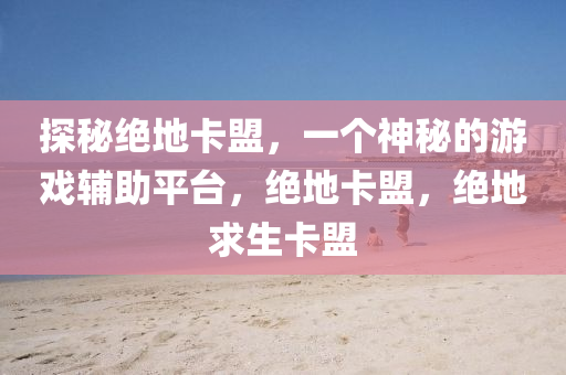 探秘绝地卡盟，一个神秘的游戏辅助平台，绝地卡盟，绝地求生卡盟