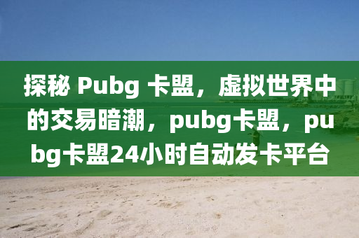 探秘 Pubg 卡盟，虚拟世界中的交易暗潮，pubg卡盟，pubg卡盟24小时自动发卡平台