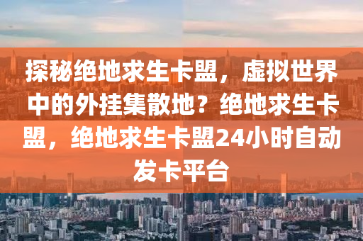 探秘绝地求生卡盟，虚拟世界中的外挂集散地？绝地求生卡盟，绝地求生卡盟24小时自动发卡平台
