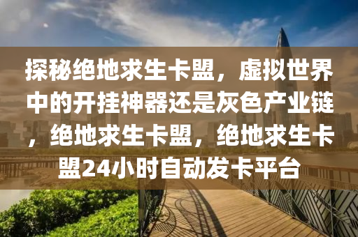 探秘绝地求生卡盟，虚拟世界中的开挂神器还是灰色产业链，绝地求生卡盟，绝地求生卡盟24小时自动发卡平台