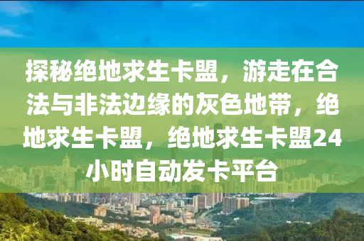 探秘绝地求生卡盟，游走在合法与非法边缘的灰色地带，绝地求生卡盟，绝地求生卡盟24小时自动发卡平台