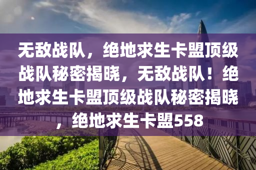 无敌战队，绝地求生卡盟顶级战队秘密揭晓，无敌战队！绝地求生卡盟顶级战队秘密揭晓，绝地求生卡盟558