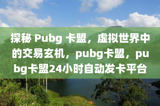 探秘 Pubg 卡盟，虚拟世界中的交易玄机，pubg卡盟，pubg卡盟24小时自动发卡平台