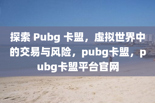 探索 Pubg 卡盟，虚拟世界中的交易与风险，pubg卡盟，pubg卡盟平台官网