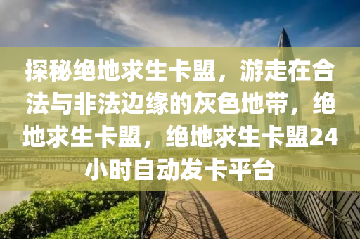探秘绝地求生卡盟，游走在合法与非法边缘的灰色地带，绝地求生卡盟，绝地求生卡盟24小时自动发卡平台