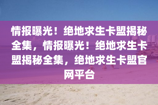 情报曝光！绝地求生卡盟揭秘全集，情报曝光！绝地求生卡盟揭秘全集，绝地求生卡盟官网平台