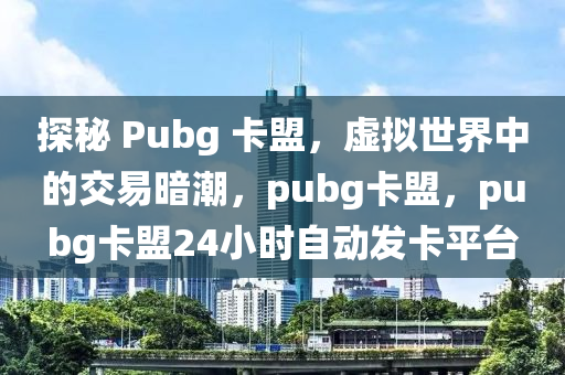探秘 Pubg 卡盟，虚拟世界中的交易暗潮，pubg卡盟，pubg卡盟24小时自动发卡平台