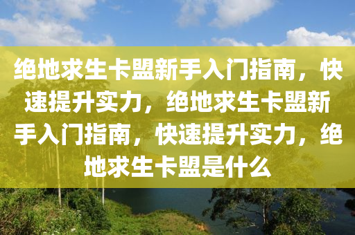 绝地求生卡盟新手入门指南，快速提升实力，绝地求生卡盟新手入门指南，快速提升实力，绝地求生卡盟是什么