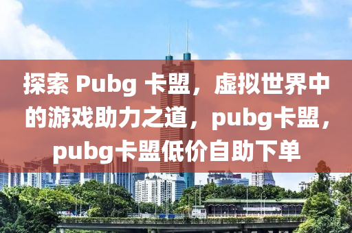 探索 Pubg 卡盟，虚拟世界中的游戏助力之道，pubg卡盟，pubg卡盟低价自助下单