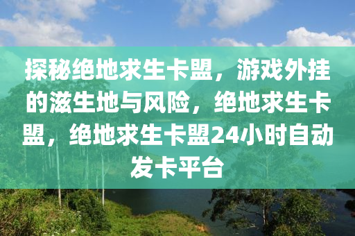 探秘绝地求生卡盟，游戏外挂的滋生地与风险，绝地求生卡盟，绝地求生卡盟24小时自动发卡平台