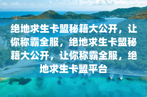 绝地求生卡盟秘籍大公开，让你称霸全服，绝地求生卡盟秘籍大公开，让你称霸全服，绝地求生卡盟平台