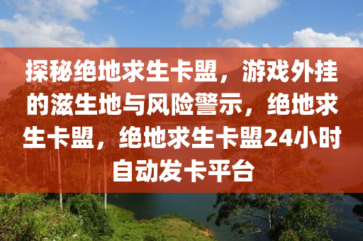 探秘绝地求生卡盟，游戏外挂的滋生地与风险警示，绝地求生卡盟，绝地求生卡盟24小时自动发卡平台