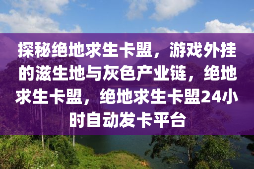探秘绝地求生卡盟，游戏外挂的滋生地与灰色产业链，绝地求生卡盟，绝地求生卡盟24小时自动发卡平台
