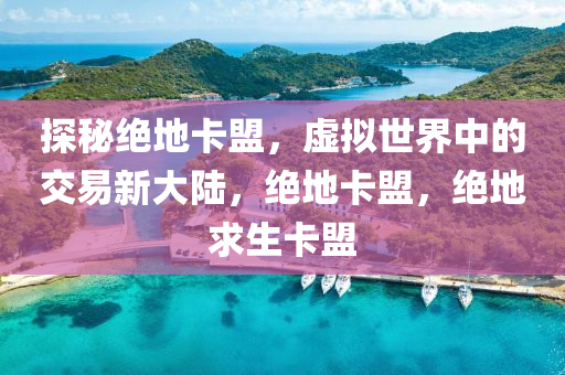 探秘绝地卡盟，虚拟世界中的交易新大陆，绝地卡盟，绝地求生卡盟