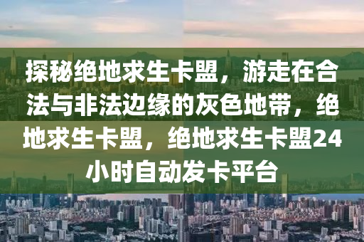 探秘绝地求生卡盟，游走在合法与非法边缘的灰色地带，绝地求生卡盟，绝地求生卡盟24小时自动发卡平台