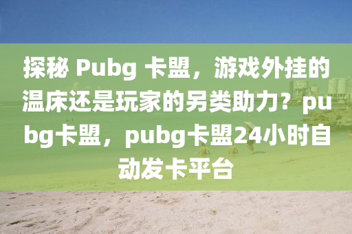 探秘 Pubg 卡盟，游戏外挂的温床还是玩家的另类助力？pubg卡盟，pubg卡盟24小时自动发卡平台