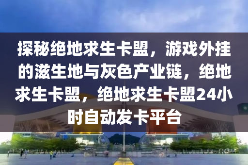 探秘绝地求生卡盟，游戏外挂的滋生地与灰色产业链，绝地求生卡盟，绝地求生卡盟24小时自动发卡平台