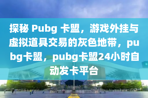 探秘 Pubg 卡盟，游戏外挂与虚拟道具交易的灰色地带，pubg卡盟，pubg卡盟24小时自动发卡平台