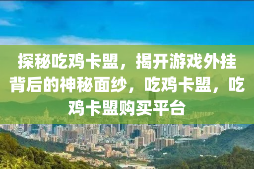 探秘吃鸡卡盟，揭开游戏外挂背后的神秘面纱，吃鸡卡盟，吃鸡卡盟购买平台