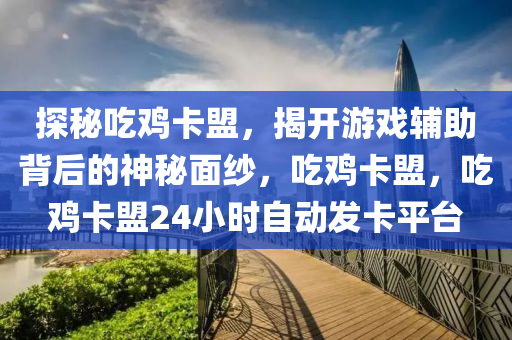 探秘吃鸡卡盟，揭开游戏辅助背后的神秘面纱，吃鸡卡盟，吃鸡卡盟24小时自动发卡平台