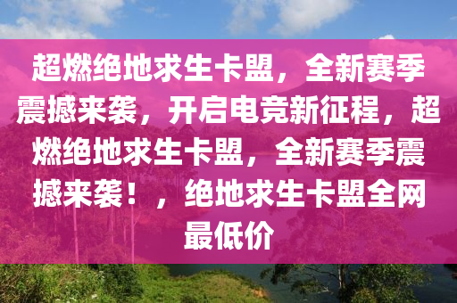 超燃绝地求生卡盟，全新赛季震撼来袭，开启电竞新征程，超燃绝地求生卡盟，全新赛季震撼来袭！，绝地求生卡盟全网最低价
