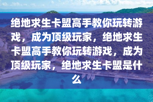 绝地求生卡盟高手教你玩转游戏，成为顶级玩家，绝地求生卡盟高手教你玩转游戏，成为顶级玩家，绝地求生卡盟是什么
