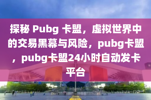 探秘 Pubg 卡盟，虚拟世界中的交易黑幕与风险，pubg卡盟，pubg卡盟24小时自动发卡平台