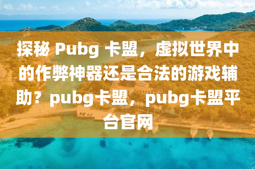 探秘 Pubg 卡盟，虚拟世界中的作弊神器还是合法的游戏辅助？pubg卡盟，pubg卡盟平台官网