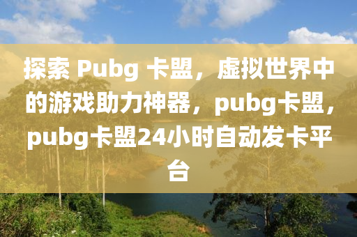 探索 Pubg 卡盟，虚拟世界中的游戏助力神器，pubg卡盟，pubg卡盟24小时自动发卡平台