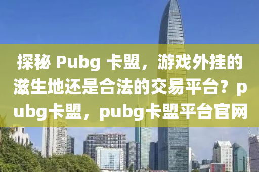 探秘 Pubg 卡盟，游戏外挂的滋生地还是合法的交易平台？pubg卡盟，pubg卡盟平台官网