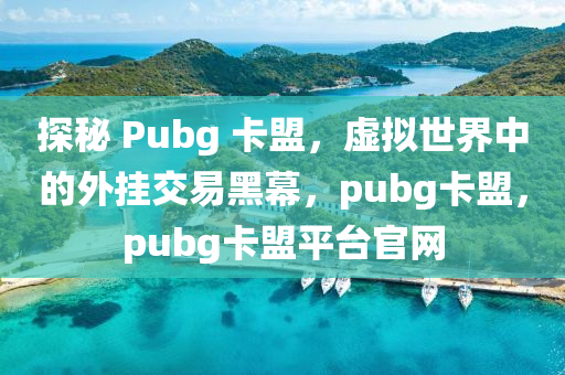 探秘 Pubg 卡盟，虚拟世界中的外挂交易黑幕，pubg卡盟，pubg卡盟平台官网