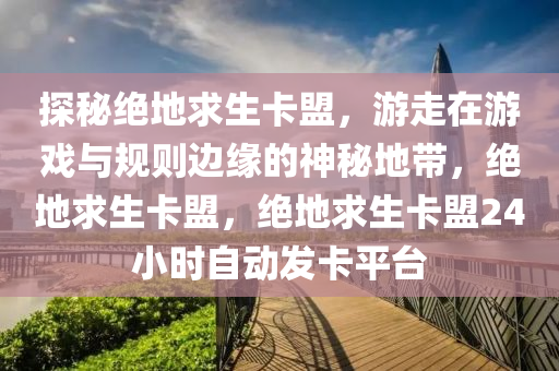 探秘绝地求生卡盟，游走在游戏与规则边缘的神秘地带，绝地求生卡盟，绝地求生卡盟24小时自动发卡平台