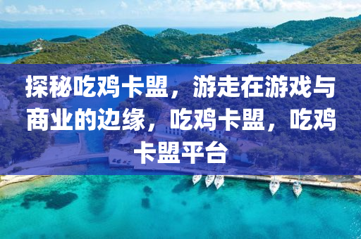 探秘吃鸡卡盟，游走在游戏与商业的边缘，吃鸡卡盟，吃鸡卡盟平台