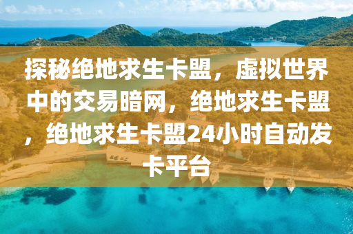 探秘绝地求生卡盟，虚拟世界中的交易暗网，绝地求生卡盟，绝地求生卡盟24小时自动发卡平台