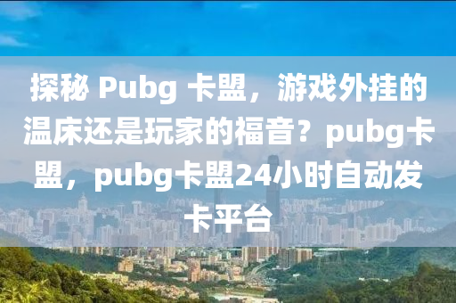 探秘 Pubg 卡盟，游戏外挂的温床还是玩家的福音？pubg卡盟，pubg卡盟24小时自动发卡平台