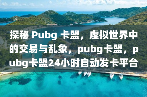 探秘 Pubg 卡盟，虚拟世界中的交易与乱象，pubg卡盟，pubg卡盟24小时自动发卡平台