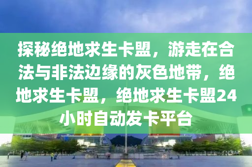 探秘绝地求生卡盟，游走在合法与非法边缘的灰色地带，绝地求生卡盟，绝地求生卡盟24小时自动发卡平台