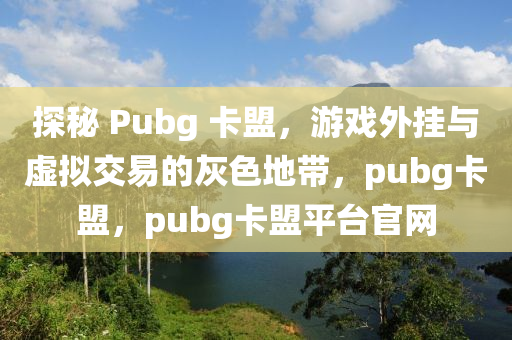 探秘 Pubg 卡盟，游戏外挂与虚拟交易的灰色地带，pubg卡盟，pubg卡盟平台官网