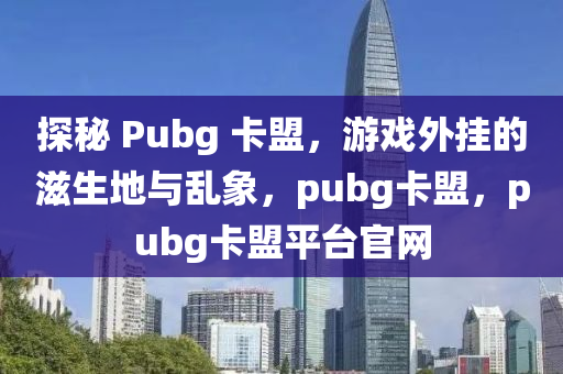 探秘 Pubg 卡盟，游戏外挂的滋生地与乱象，pubg卡盟，pubg卡盟平台官网