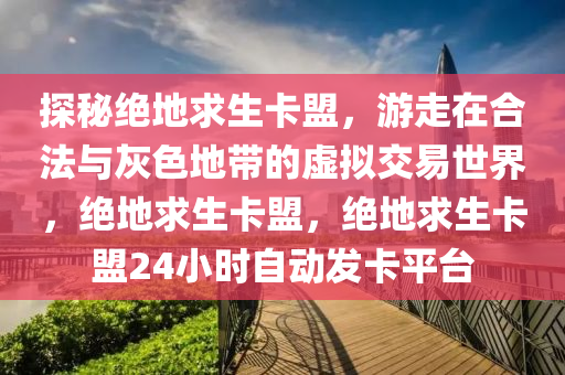 探秘绝地求生卡盟，游走在合法与灰色地带的虚拟交易世界，绝地求生卡盟，绝地求生卡盟24小时自动发卡平台