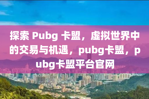 探索 Pubg 卡盟，虚拟世界中的交易与机遇，pubg卡盟，pubg卡盟平台官网