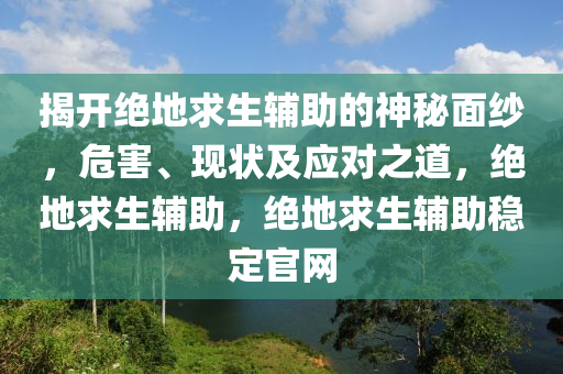 揭开绝地求生辅助的神秘面纱，危害、现状及应对之道，绝地求生辅助，绝地求生辅助稳定官网