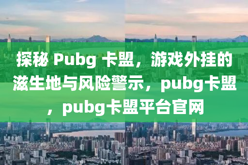 探秘 Pubg 卡盟，游戏外挂的滋生地与风险警示，pubg卡盟，pubg卡盟平台官网