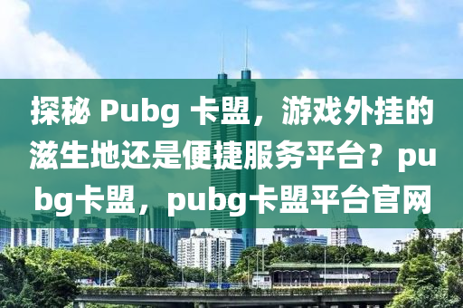 探秘 Pubg 卡盟，游戏外挂的滋生地还是便捷服务平台？pubg卡盟，pubg卡盟平台官网
