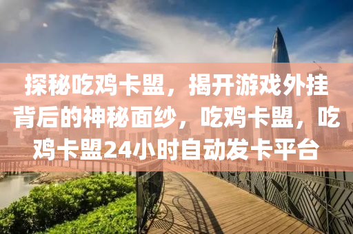 探秘吃鸡卡盟，揭开游戏外挂背后的神秘面纱，吃鸡卡盟，吃鸡卡盟24小时自动发卡平台